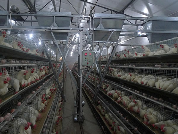 ​电容式接近蜜桃APP污版 养殖业